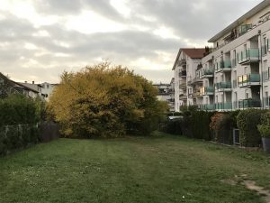 Herbst in Walldorf